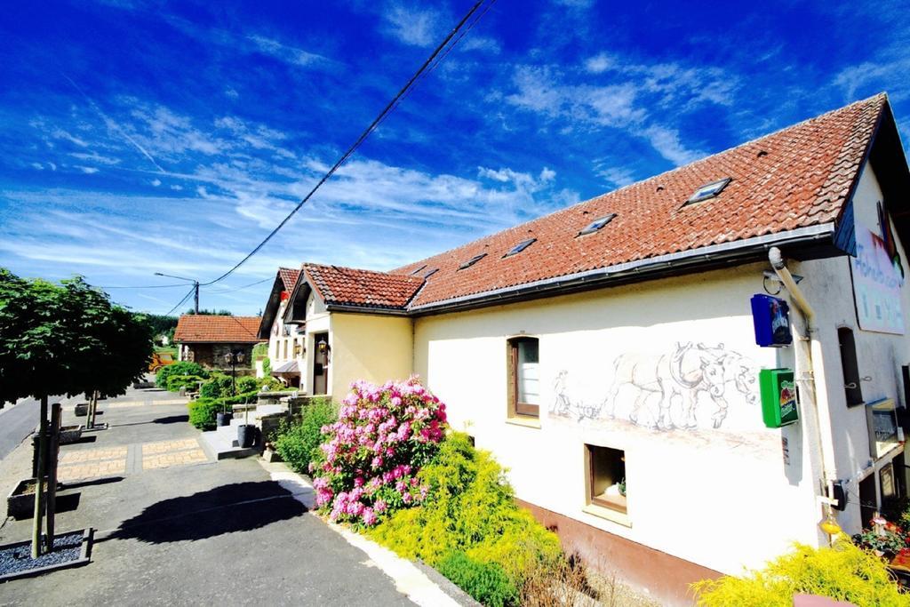 Appartement Am Hohenbusch Burg Reuland Exterior photo
